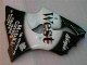 00-02 Black West Ninja ZX6R Motorcycle Fairings 00-02 Black West Ninja ZX6R Motorcycle Fairings