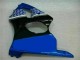 00-02 Blue ZX6R Motorcycle Bodywork