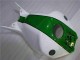 04-05 Green White CBR1000RR Motorcycle Fairings 04-05 Green White CBR1000RR Motorcycle Fairings