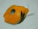 04-05 Orange Black Repsol CBR1000RR Motorcycle Bodywork