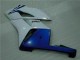 04-05 White Blue CBR1000RR Motorcycle Fairing 04-05 White Blue CBR1000RR Motorcycle Fairing