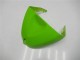 05-06 Green Black ZX6R Motorcycle Fairing