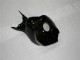 06-07 Black CBR1000RR Motorcycle Bodywork 06-07 Black CBR1000RR Motorcycle Bodywork