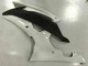 08-16 White YZF R6 Motorcycle Fairings 08-16 White YZF R6 Motorcycle Fairings