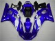98-02 White Blue YZF R6 Motorcycle Fairings